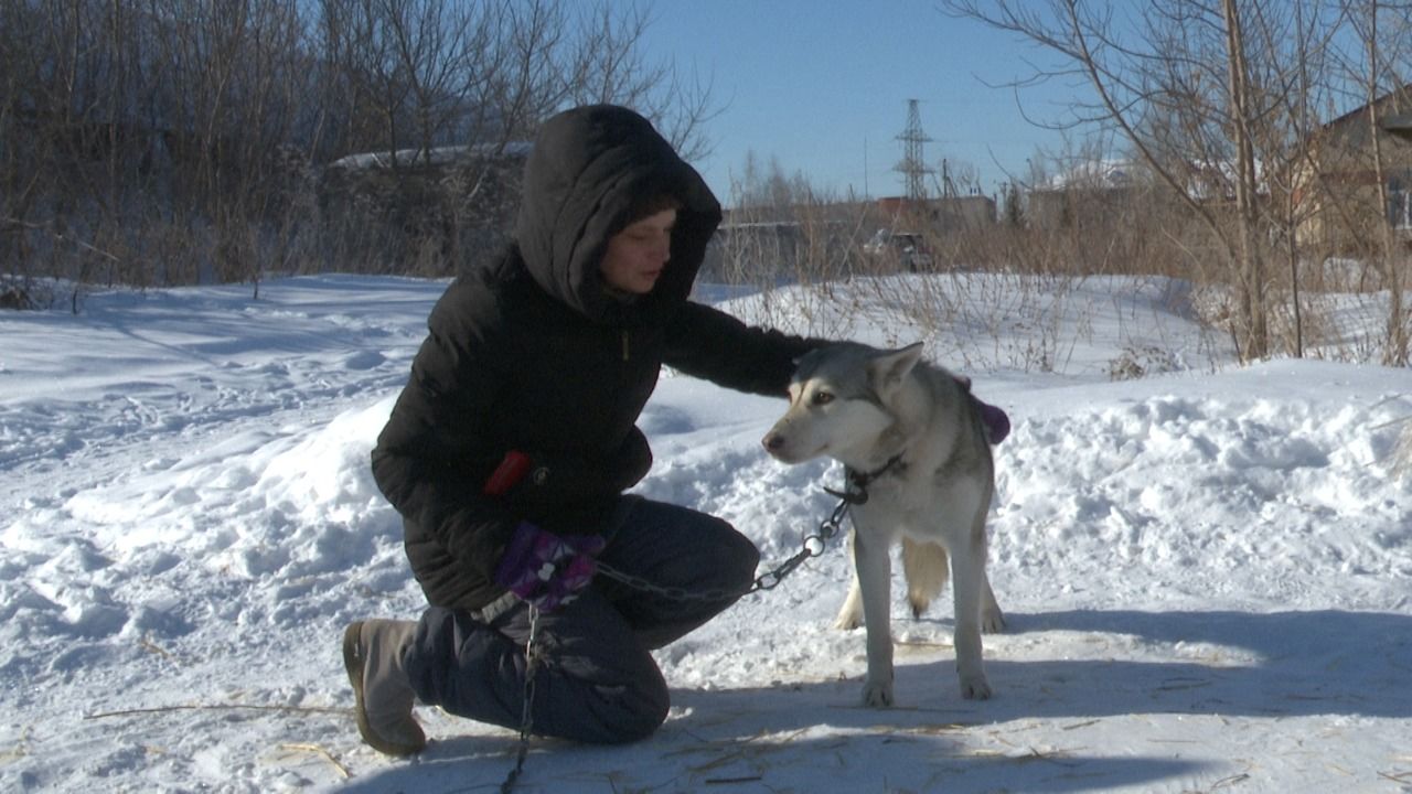 Лениногорцы помогли бездомным животным