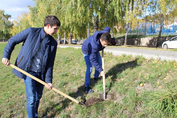 Акцент в зеленом наряде Лениногорска на пушистые ели