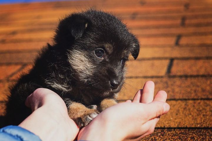 УЧЕНЫЕ ИЗ ОКСФОРДА ГОВОРЯТ: ДЕЛАЙТЕ ДОБРО 7 ДНЕЙ ПОДРЯД, И ВЫ СТАНЕТЕ СЧАСТЛИВЕЕ