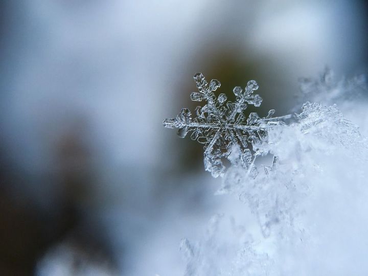 ПРИМЕТЫ. МЕСЯЦ ДЕКАБРЬ.