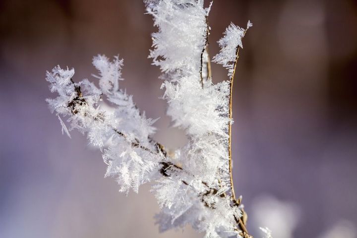 Погода для жителей Лениногорского района 19 декабря