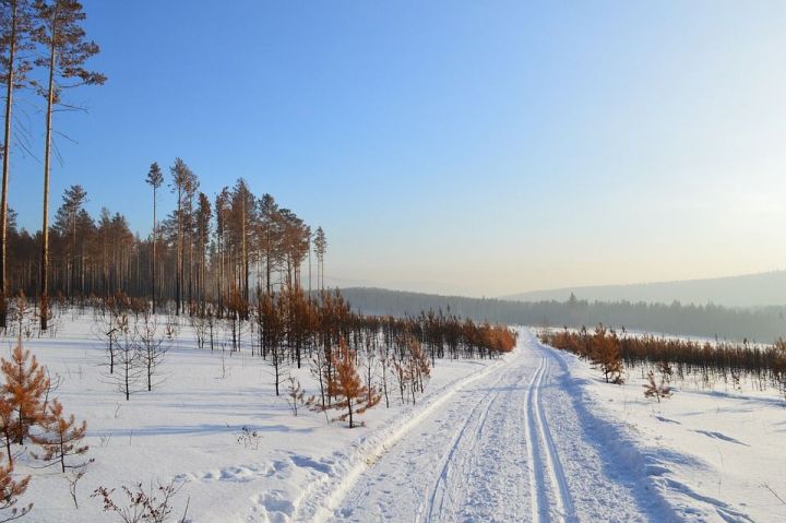 Доброе утро, лениногорцы, сегодня 3 декабря по народному календарю - День Прокла