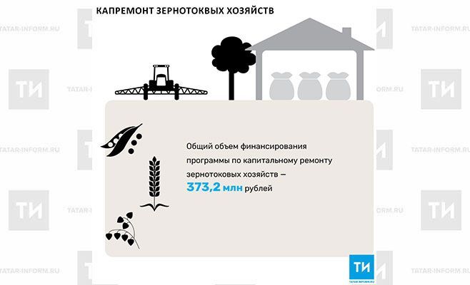 С 2018 года Татарстан начнет программу капитального ремонта зернотоковых хозяйств