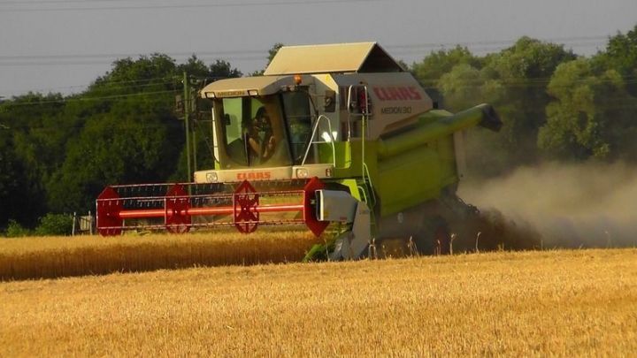 На полях Лениногорского района продолжается уборка урожая