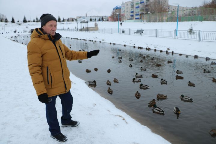 Пусть зимуют!Будь человеком.