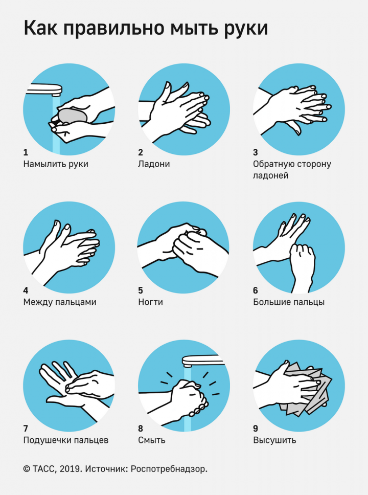 Бактерии везде. Как Лениногорцам правильно мыть руки