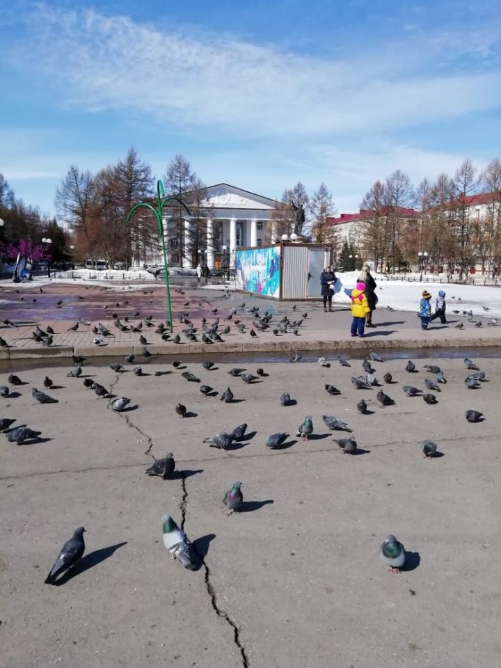 Новый участник фотоконкурса "Лениногорск моими глазами!"