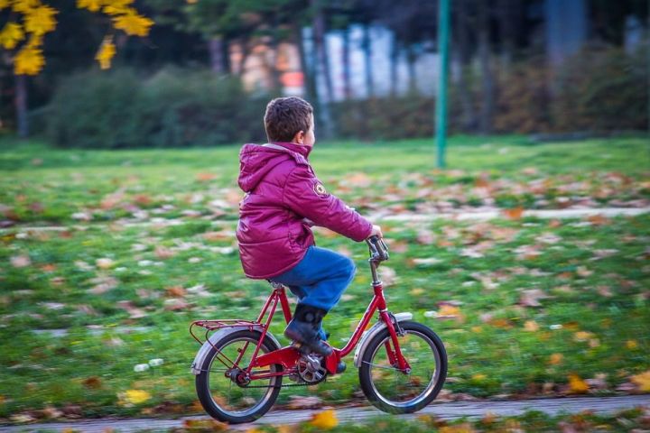 3 Июня Всемирный день велосипеда