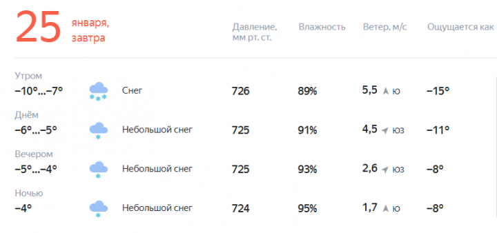 Прогноз погоды на завтра, 25 января