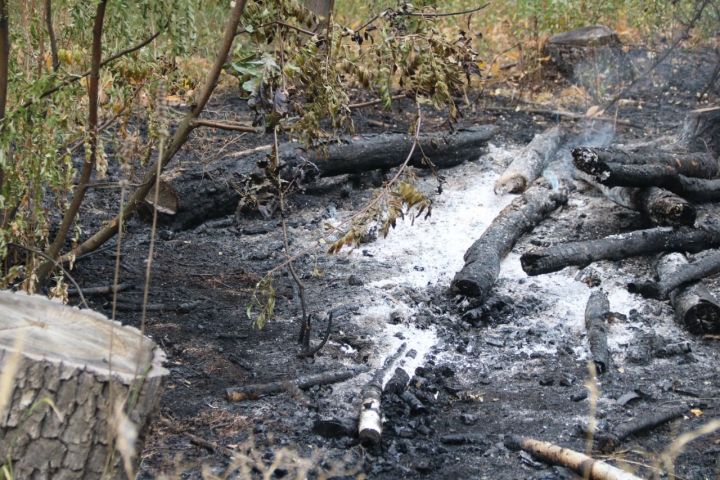 В Лениногорске вводится особый противопожарный режим