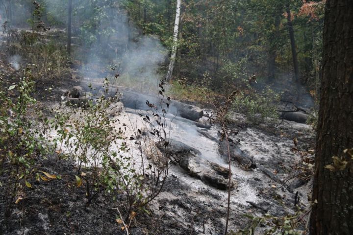 В Лениногорске вводится особый противопожарный режим