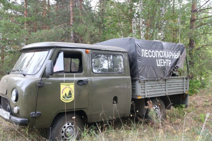 В Лениногорске вводится особый противопожарный режим