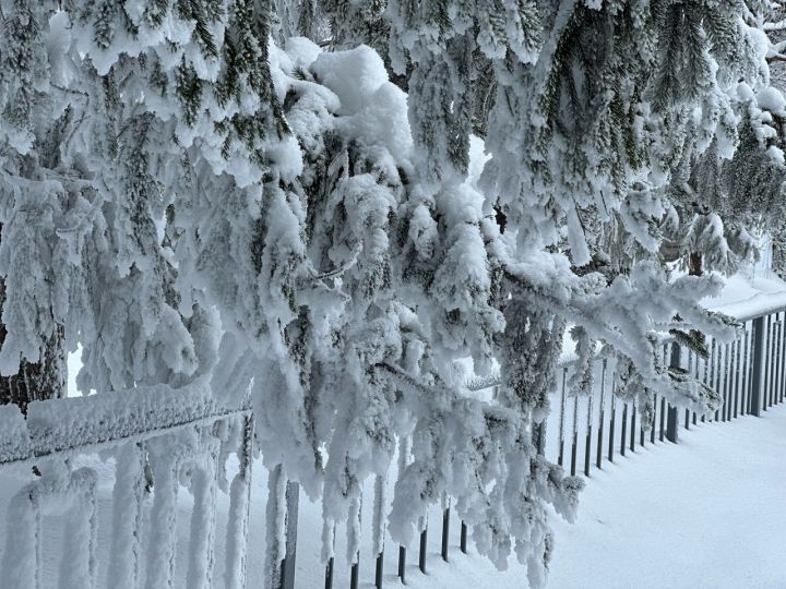 Прогноз погоды на 10 января для лениногорцев