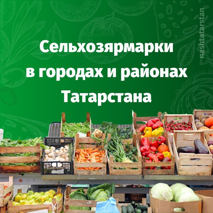 В Татарстане проходят традиционные сельскохозяйственные ярмарки