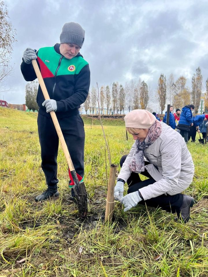 В Лениногорске происходит озеленение парков