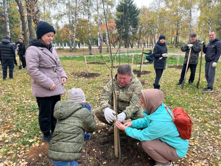 В Татарстане посадили 2 миллиона саженцев в рамках Всероссийской акции «Сохраним лес»