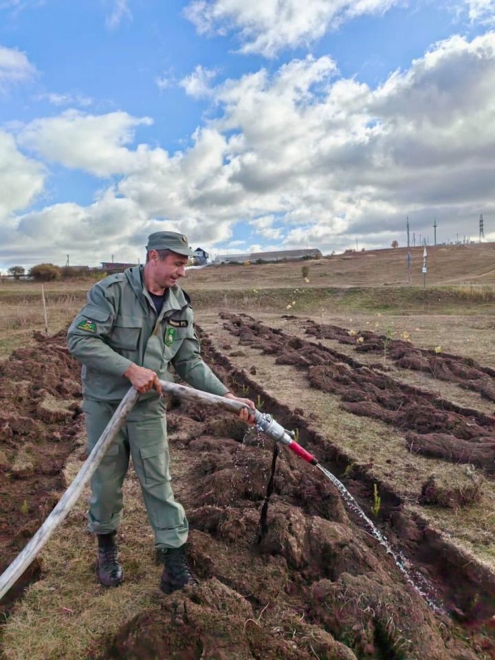 В Татарстане посадили 2 миллиона саженцев в рамках Всероссийской акции «Сохраним лес»