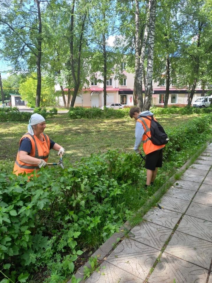 Жителей Лениногорска призывают беречь зелёные насаждения