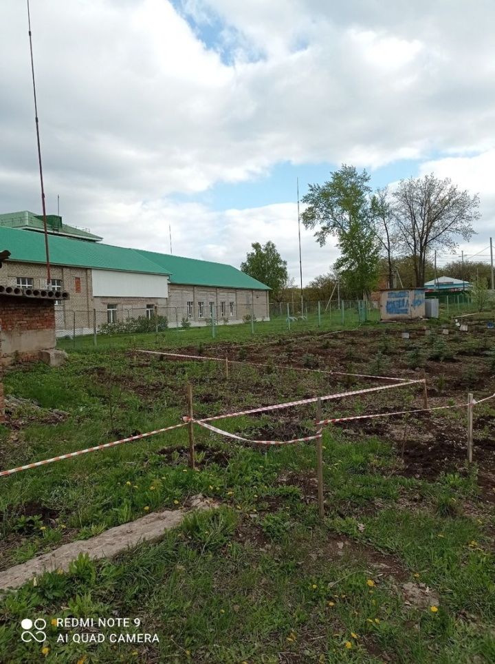 В школьном лесничестве «Дубки» Лениногорска начали создавать дендросад