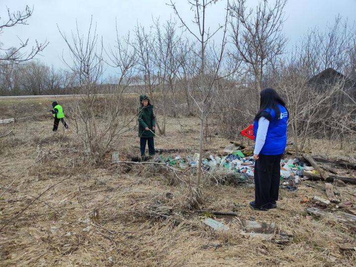 В Лениногорском районе сотрудники ГАИ совместно с экологами выявили свалки в придорожных зонах